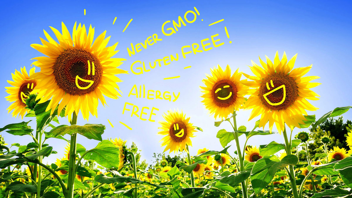 Sunflower+Never+GMO+Gluten+FREE+Allergy+FREE.jpeg