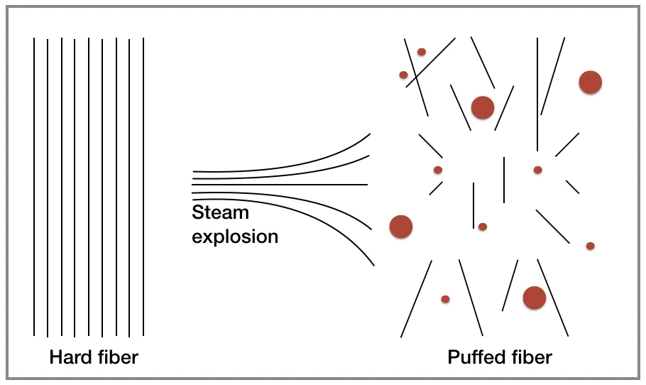 PLANETARIANS Steam Explosion.jpg