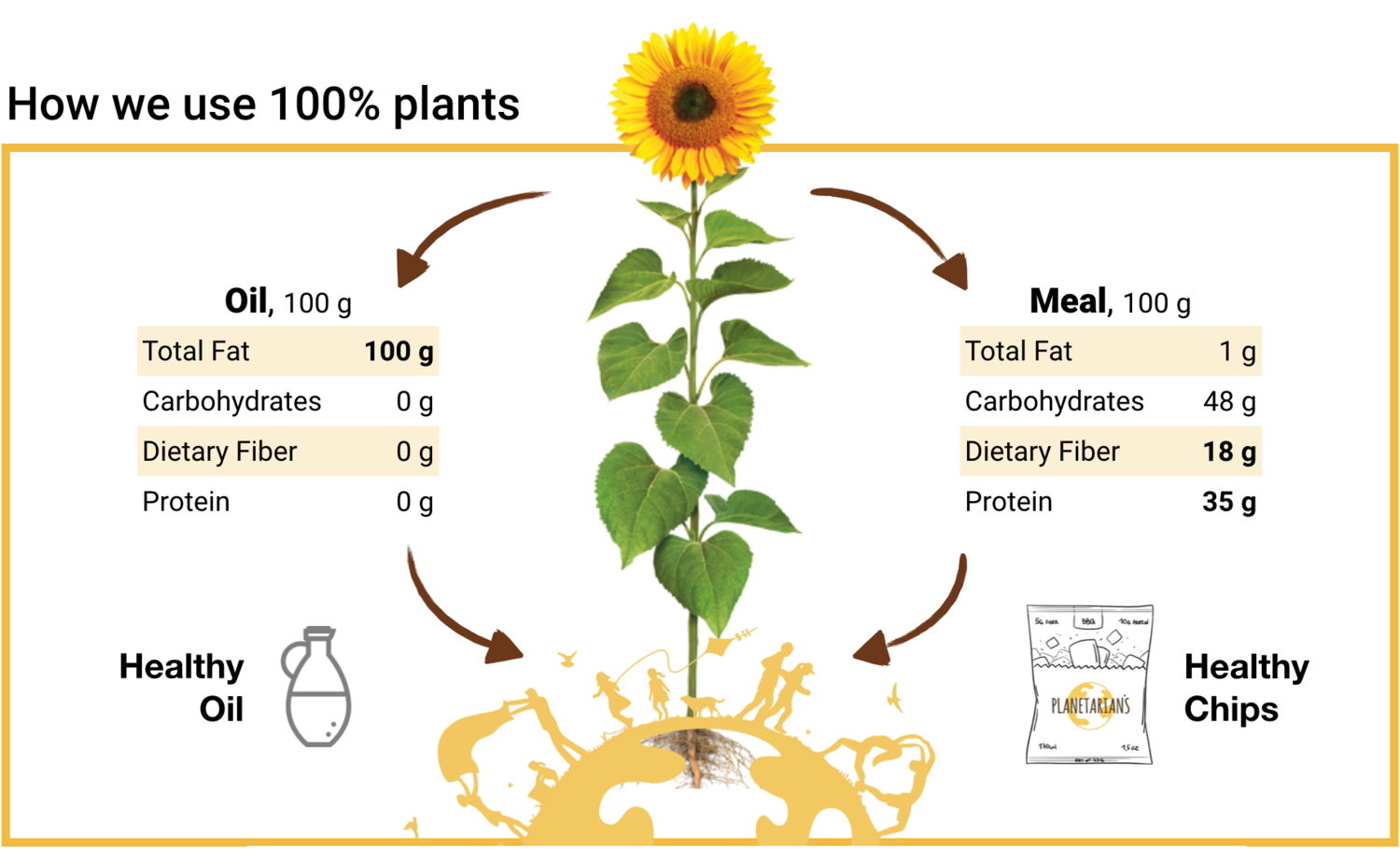 How+we+make+Sunflower+Chips+from+Sunflower+Meal.png