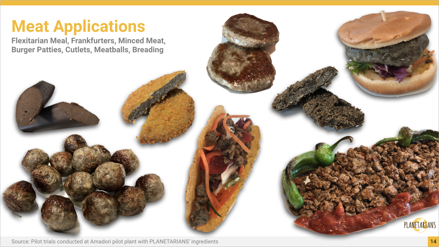 PLANETARIANS Meat applications for customers willing to follow flexitarian lifestyle.png