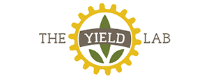TheYieldLab.png