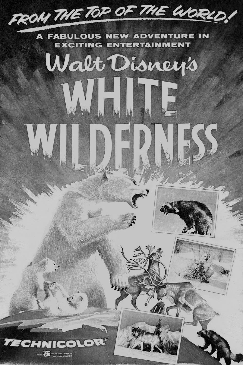 whitewildnerness.jpg