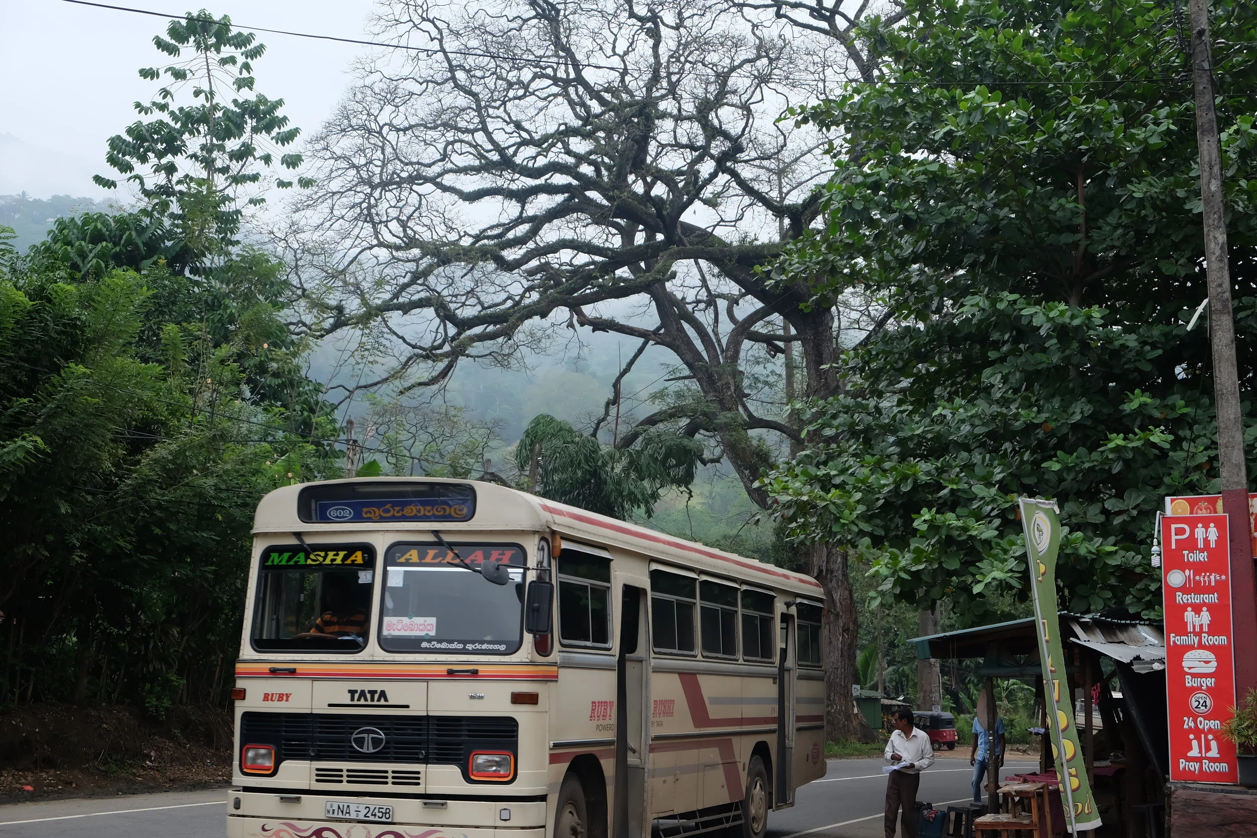 DSCF5369.JPG