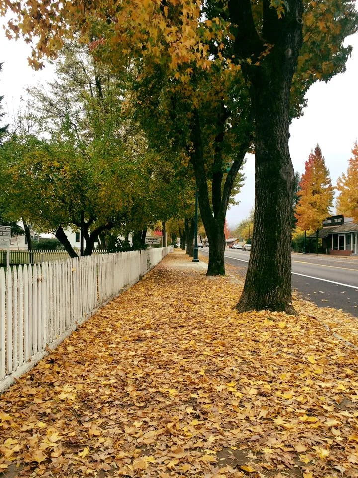 autumn- historic white picket fence along Main Street.jpg