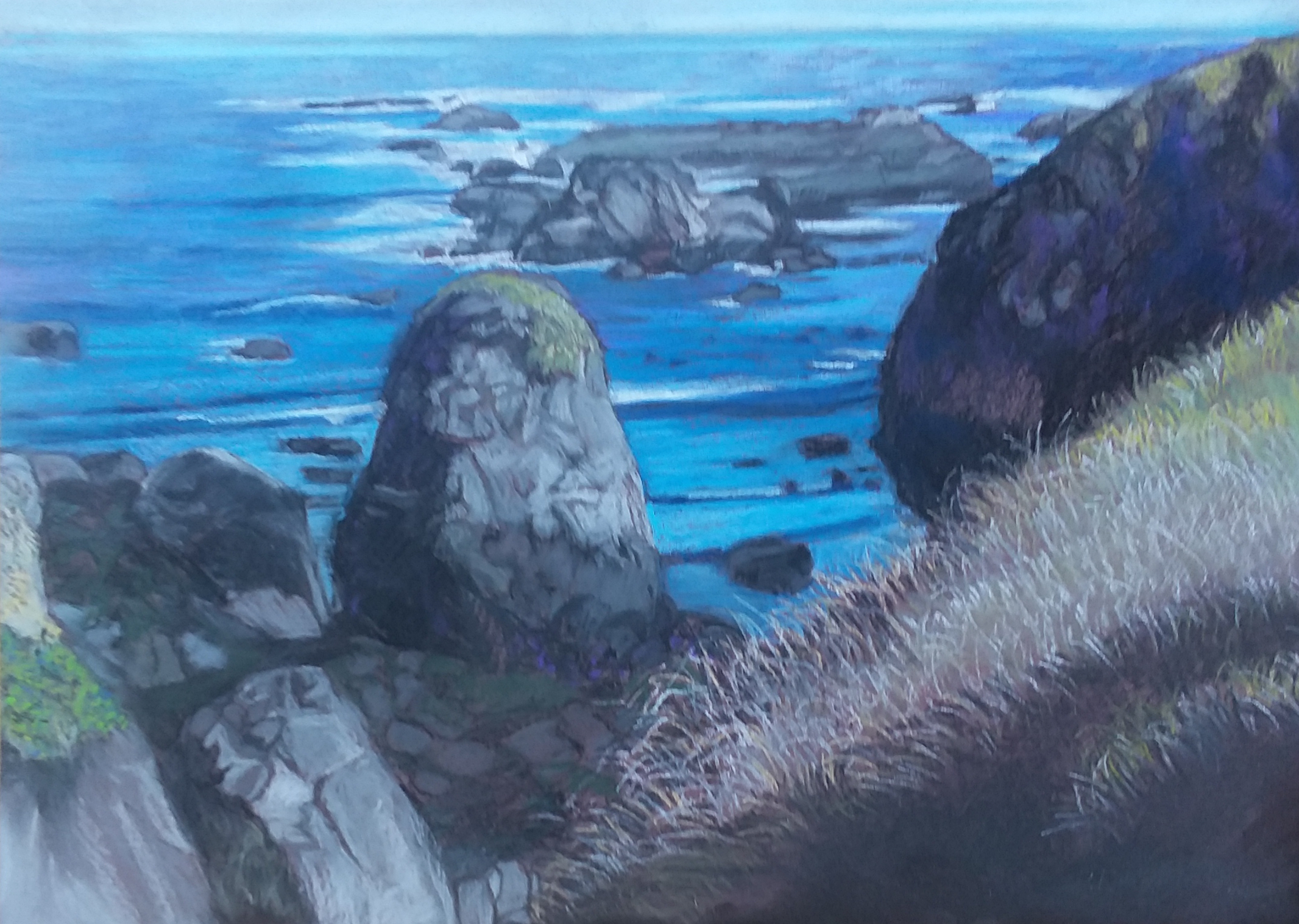 Jug.Handle.Mendocino.Coast.Olsen.jpg
