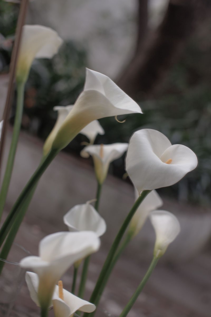 0013 BUKE x Feli.jpg