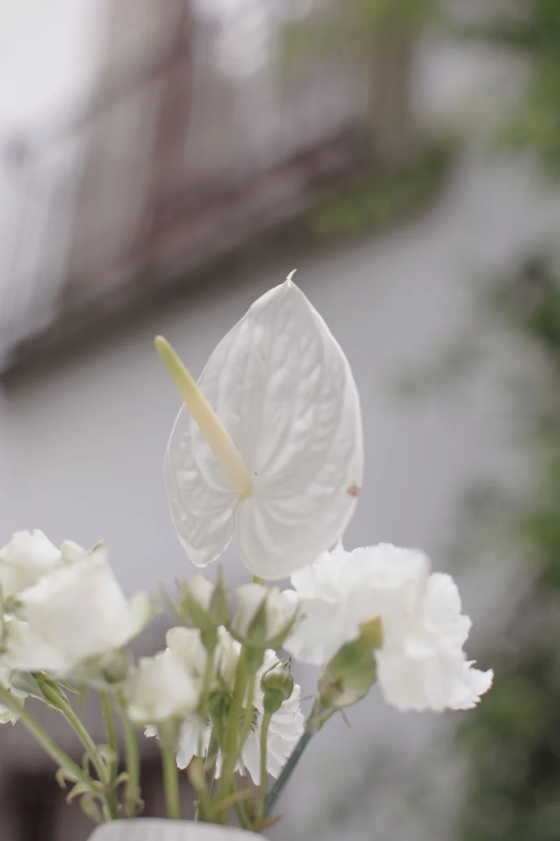 0017 BUKE x Feli.jpg