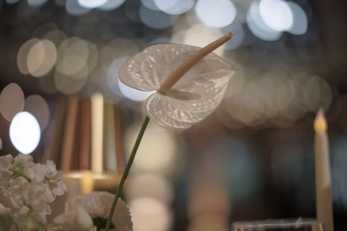 0038 BUKE x Feli.jpg