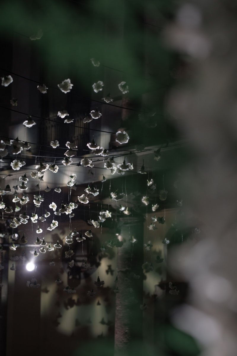 0055 BUKE x Feli.jpg