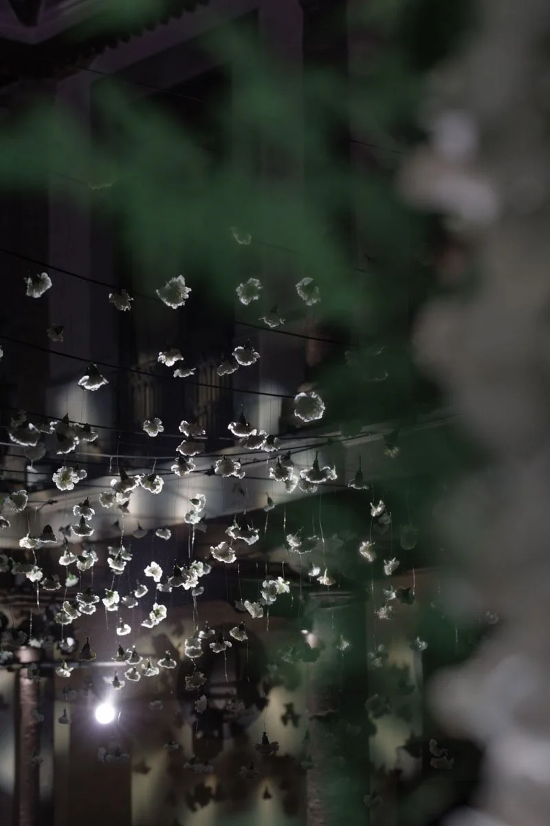 0056 BUKE x Feli.jpg