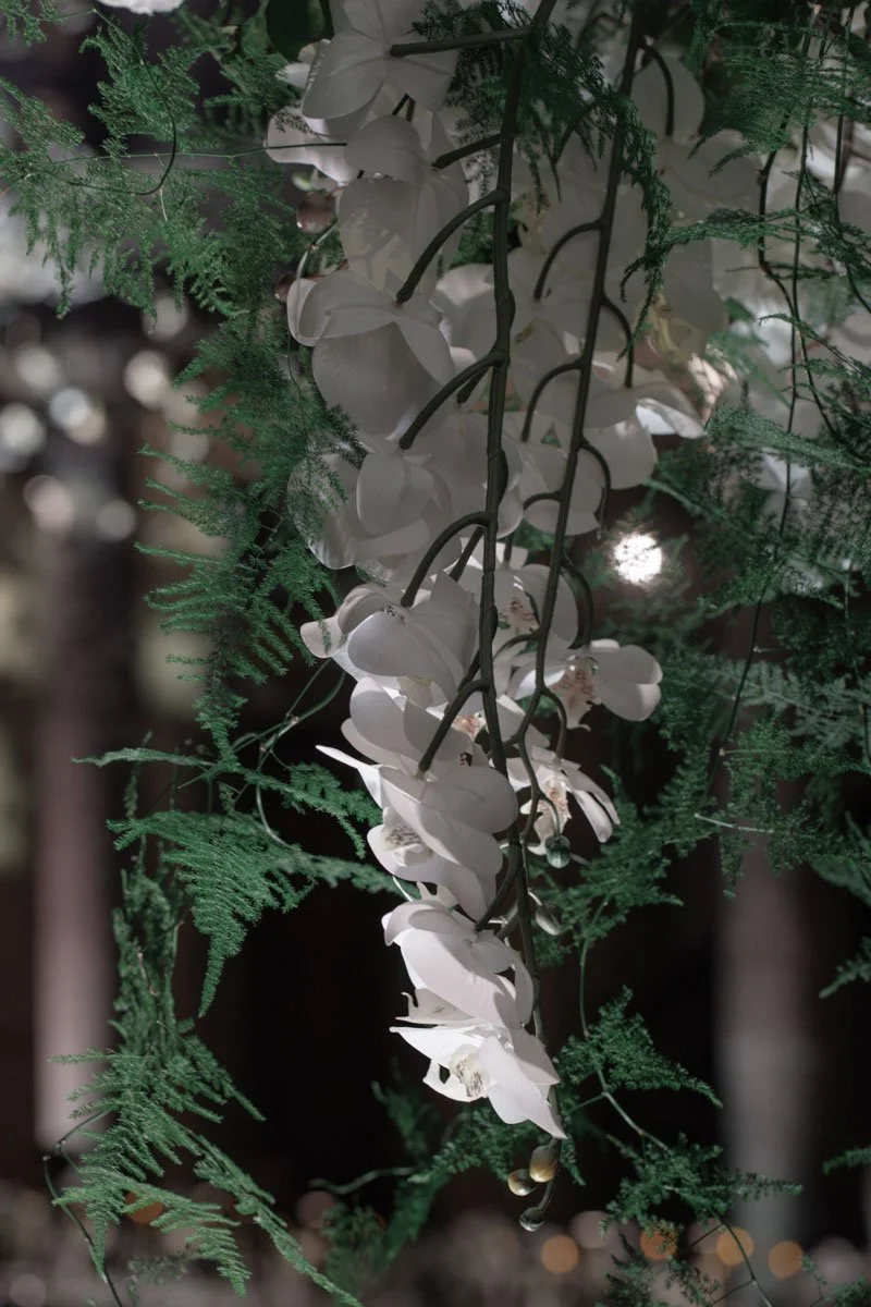 0058 BUKE x Feli.jpg