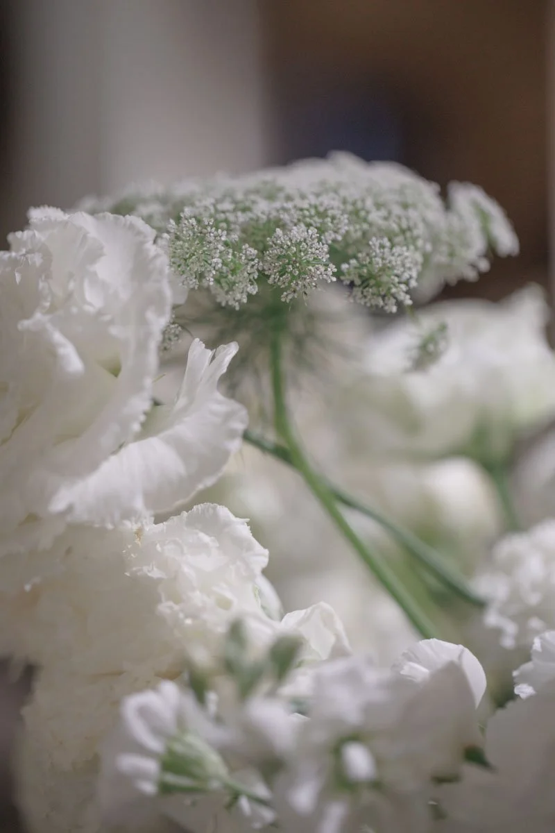 0060 BUKE x Feli.jpg