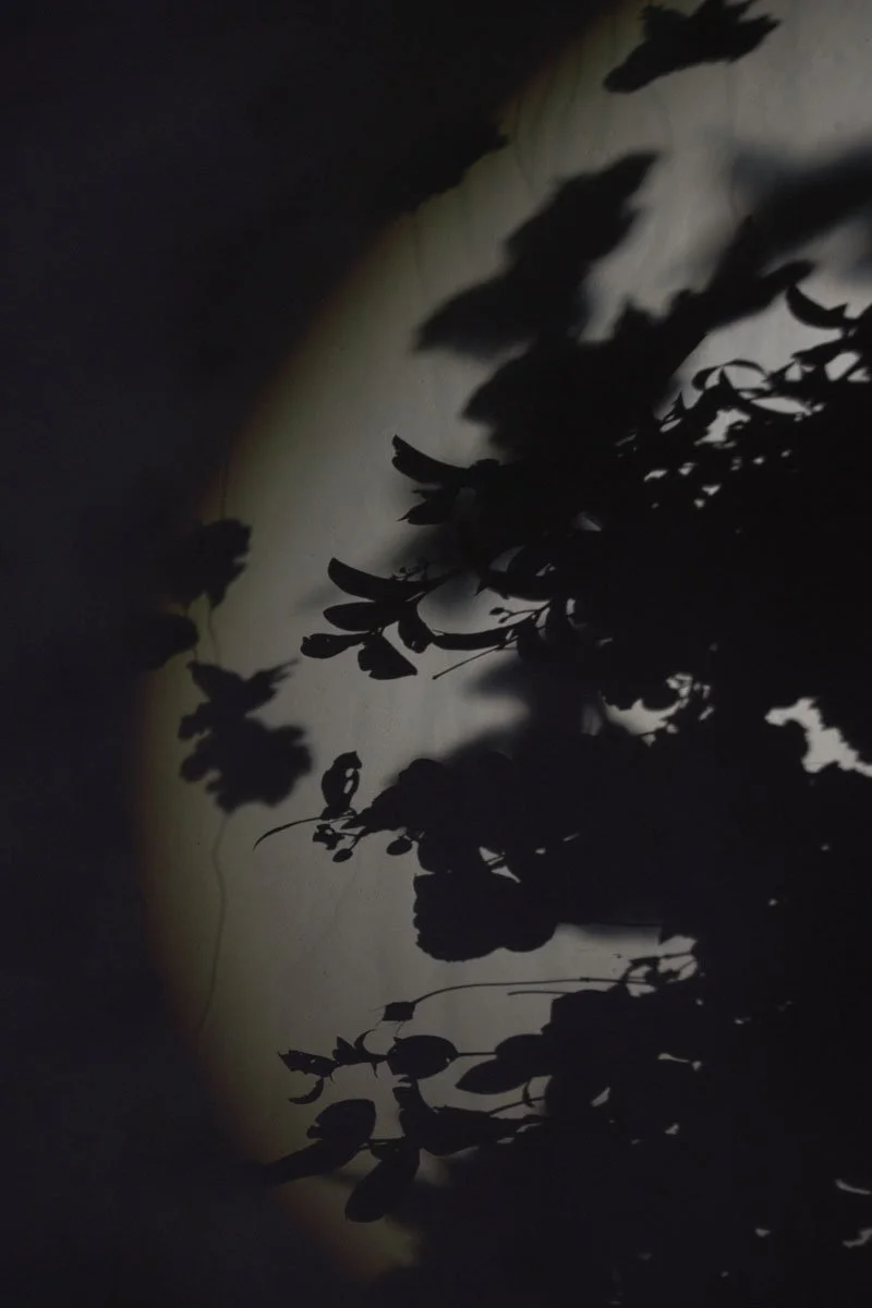 0073 BUKE x Feli.jpg