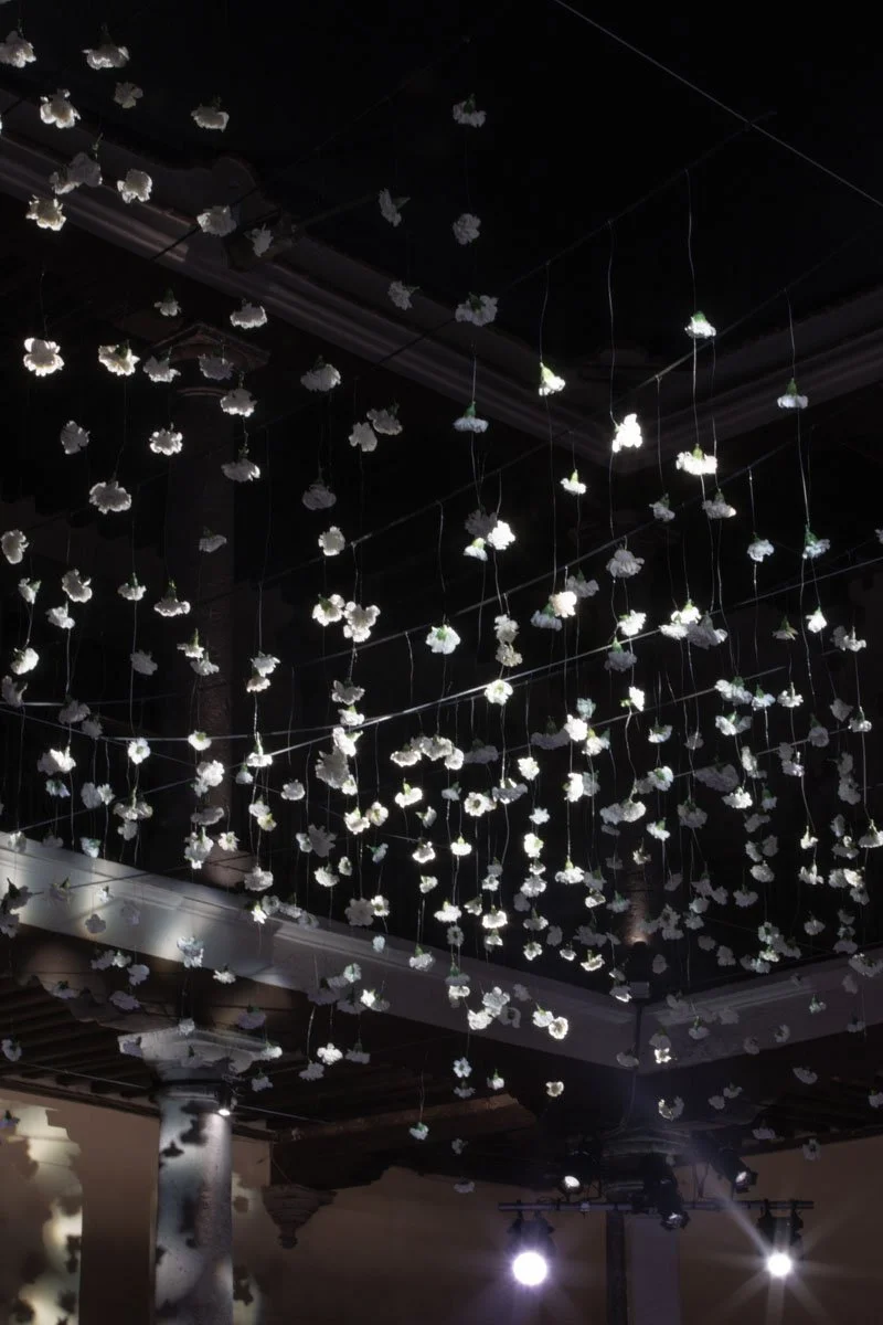 0080 BUKE x Feli.jpg