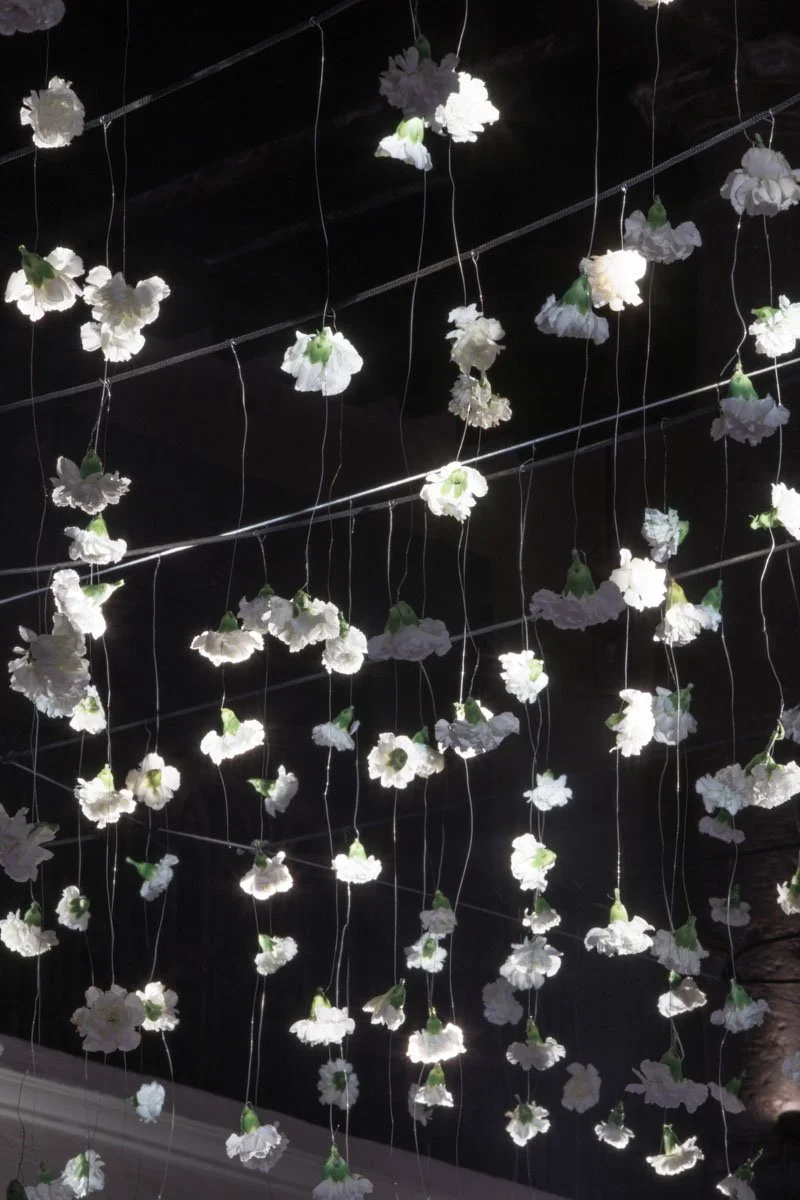 0081 BUKE x Feli.jpg