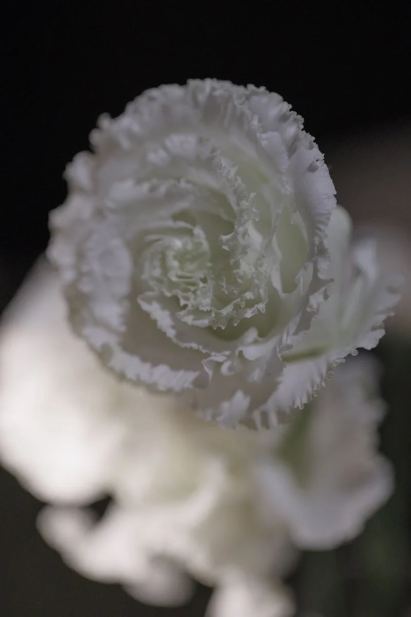 0142 BUKE x Feli.jpg