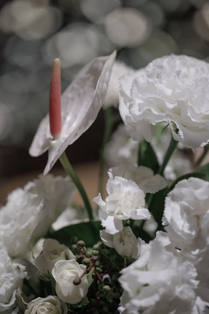 0150 BUKE x Feli.jpg