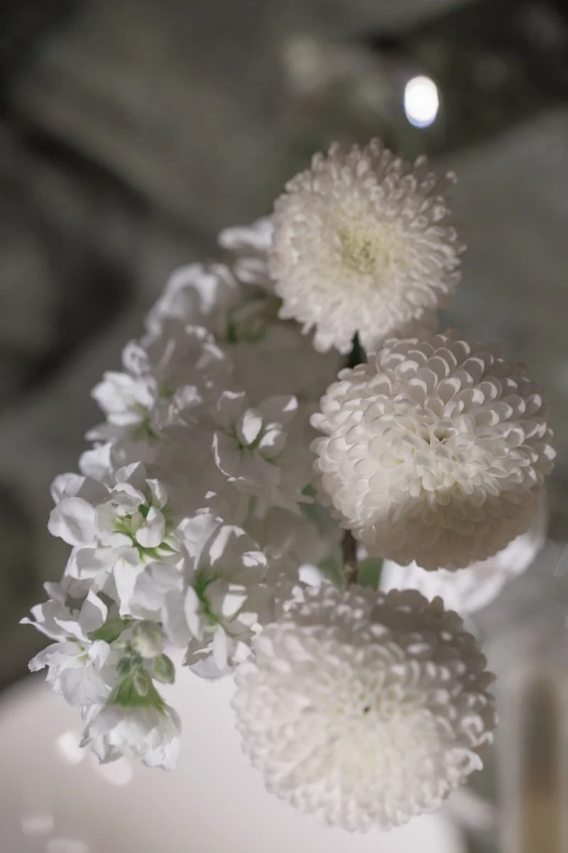 0154 BUKE x Feli.jpg