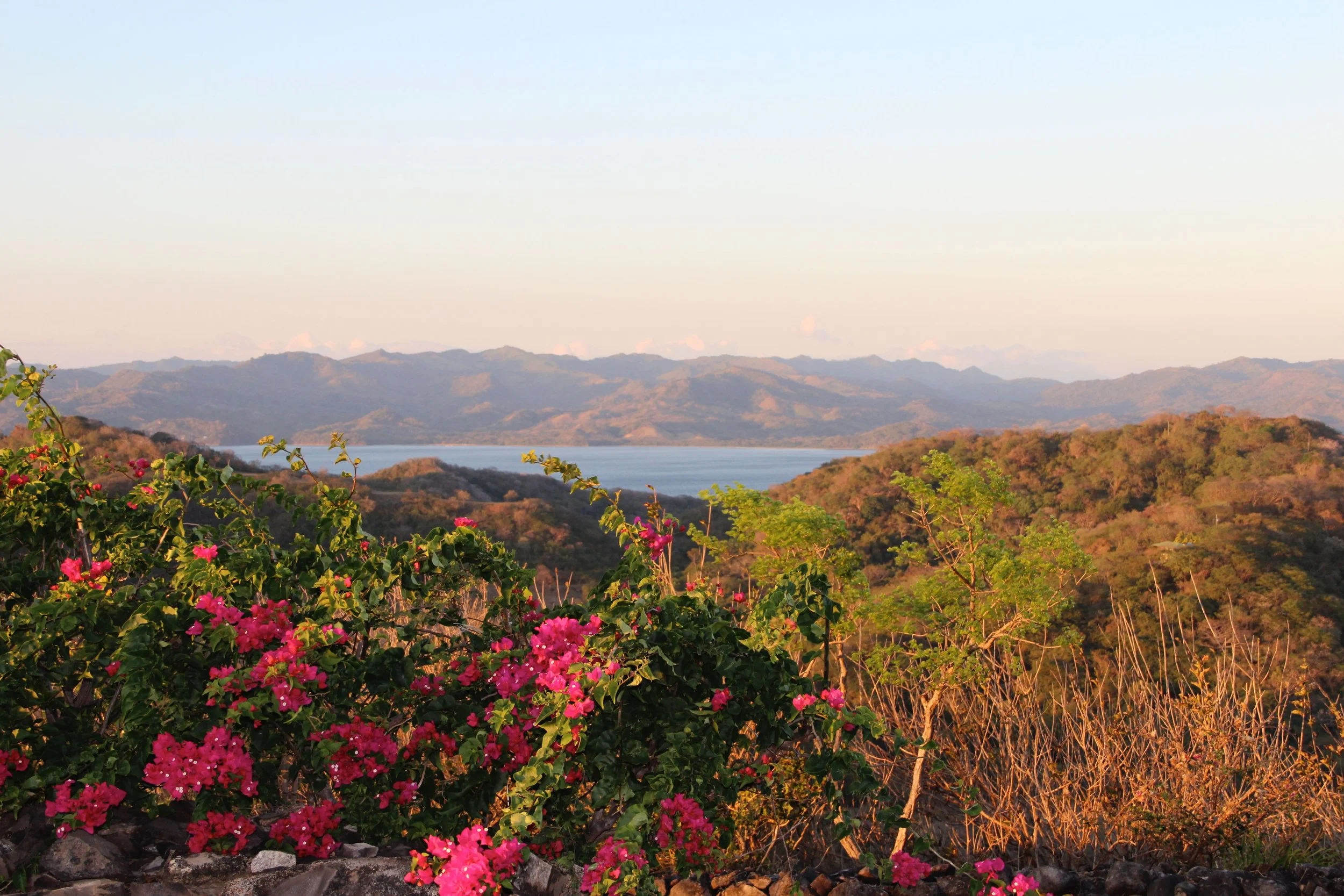 Looking North East over Baja Salinas towards Nicaragua where the guys kited every day - yup lots of bougainvillaea