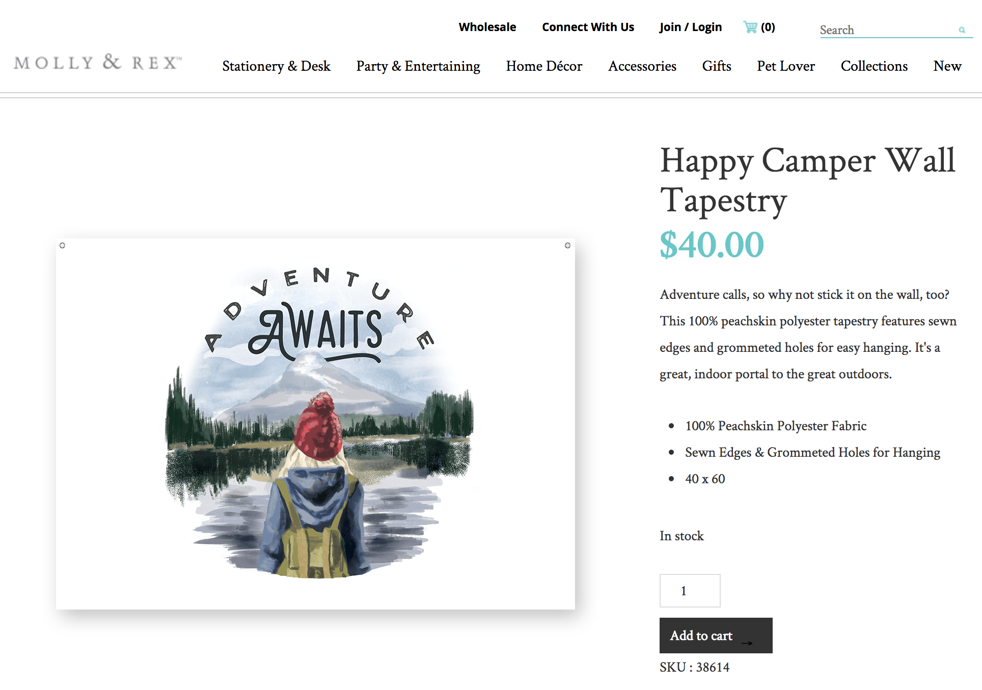 3Happy Camper.png