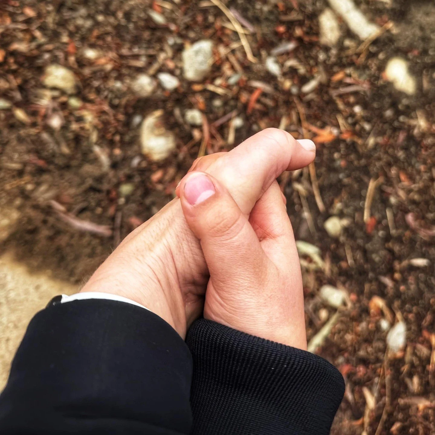 Standing With Families Through an Uncertain Year🌿 Standing With Families Through an Uncertain Year

As immigration policies continue to shift, families we serve are facing fear and uncertainty. At Claremont Canopy we remain committed to showing up w