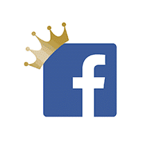 Facebook: The New Digital Monopoly