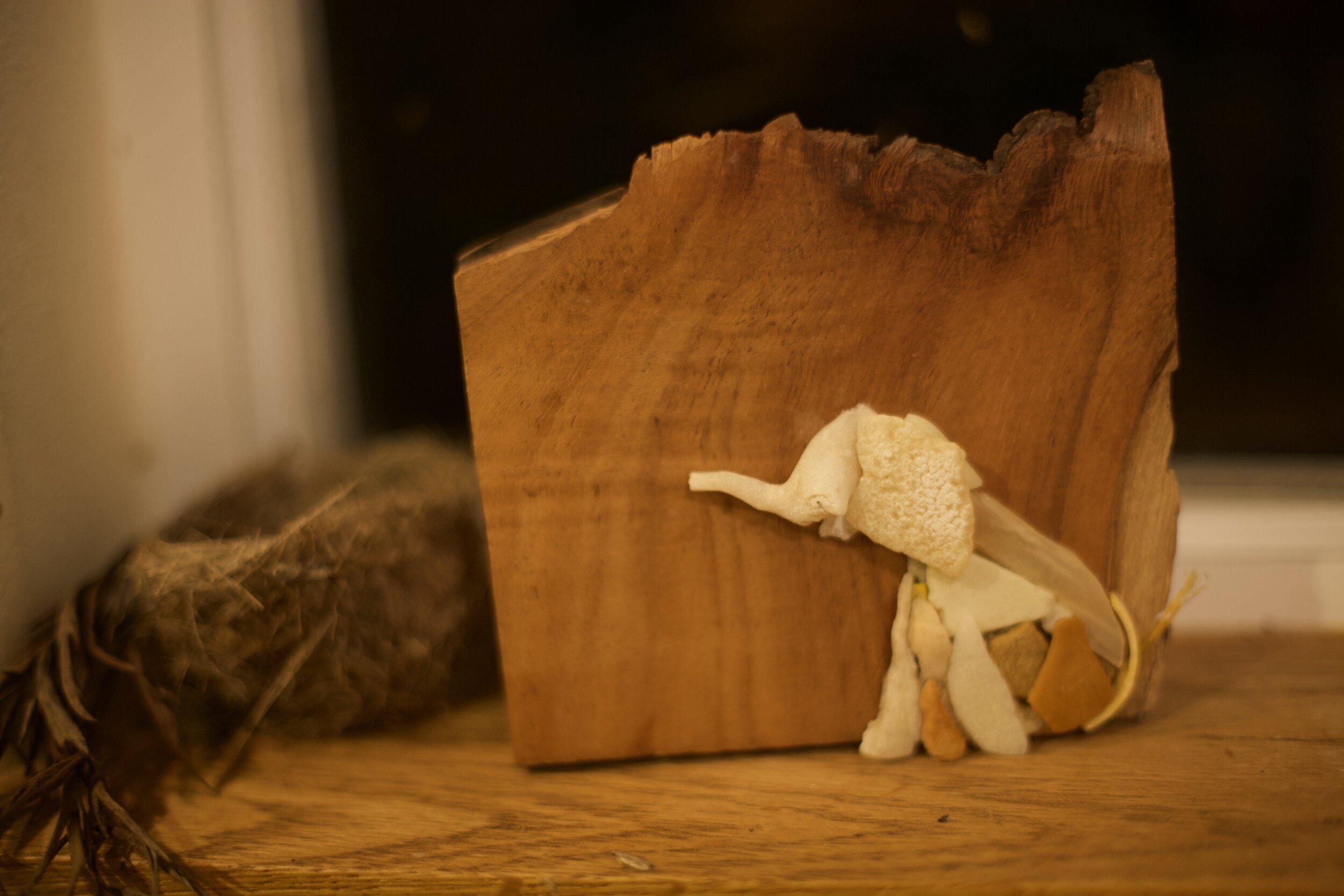 "Nature &amp; Nurture" 