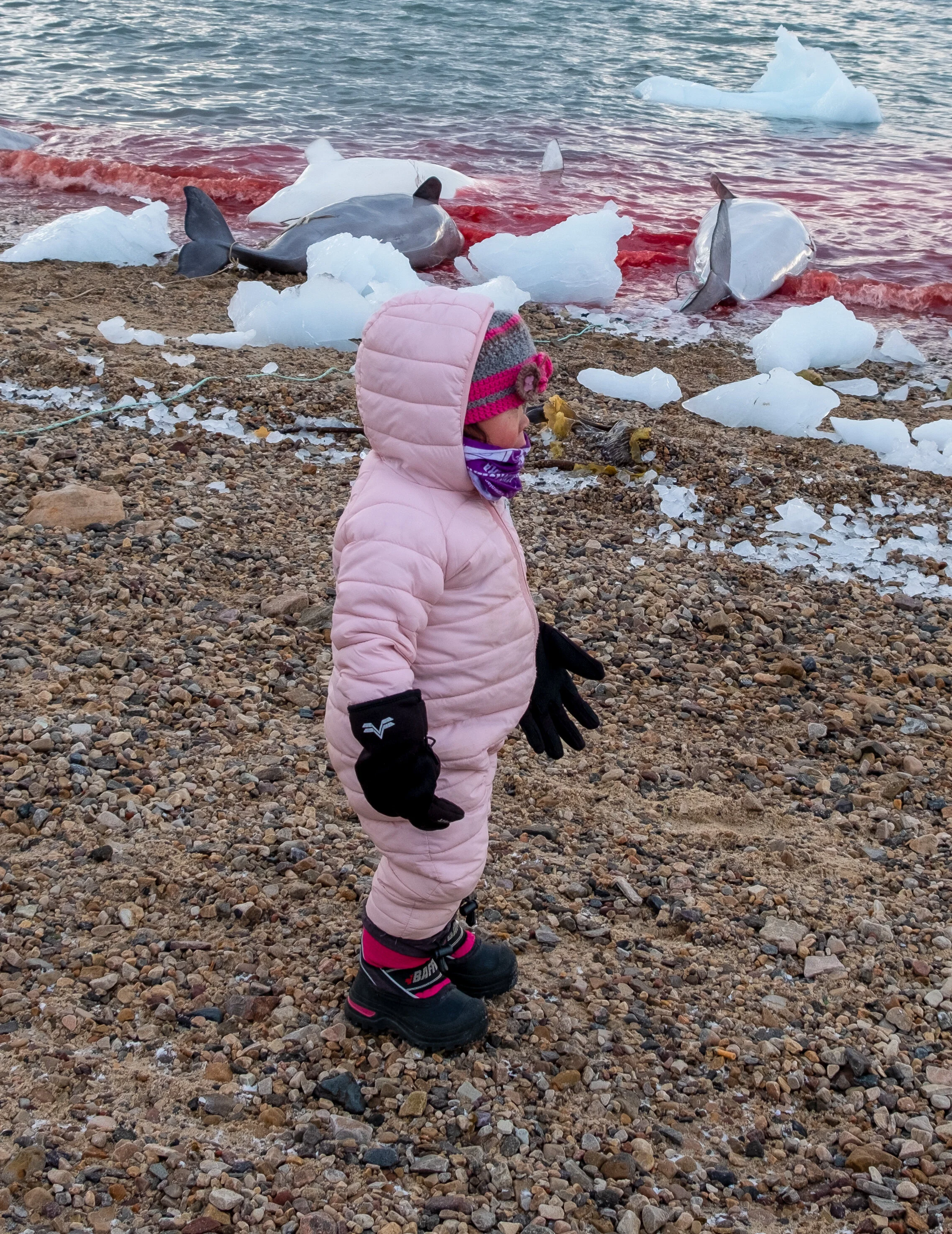 Qaanaaq Toddler.jpg
