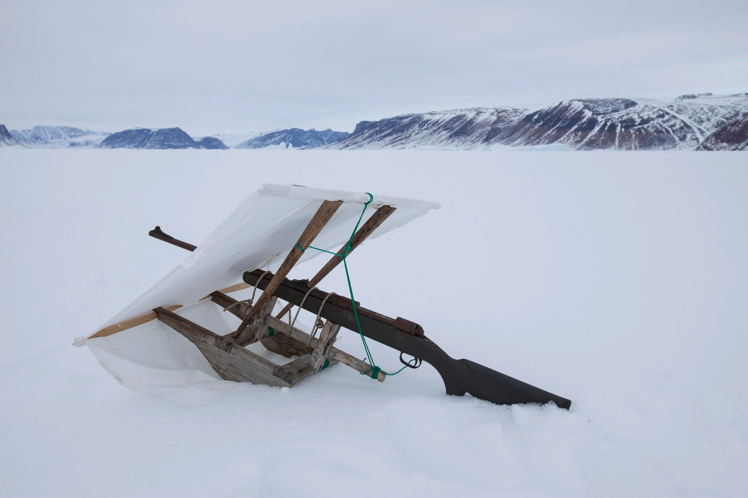The Sacred Exchange: Hunting as Survival's Language (Qaanaaq Specific)