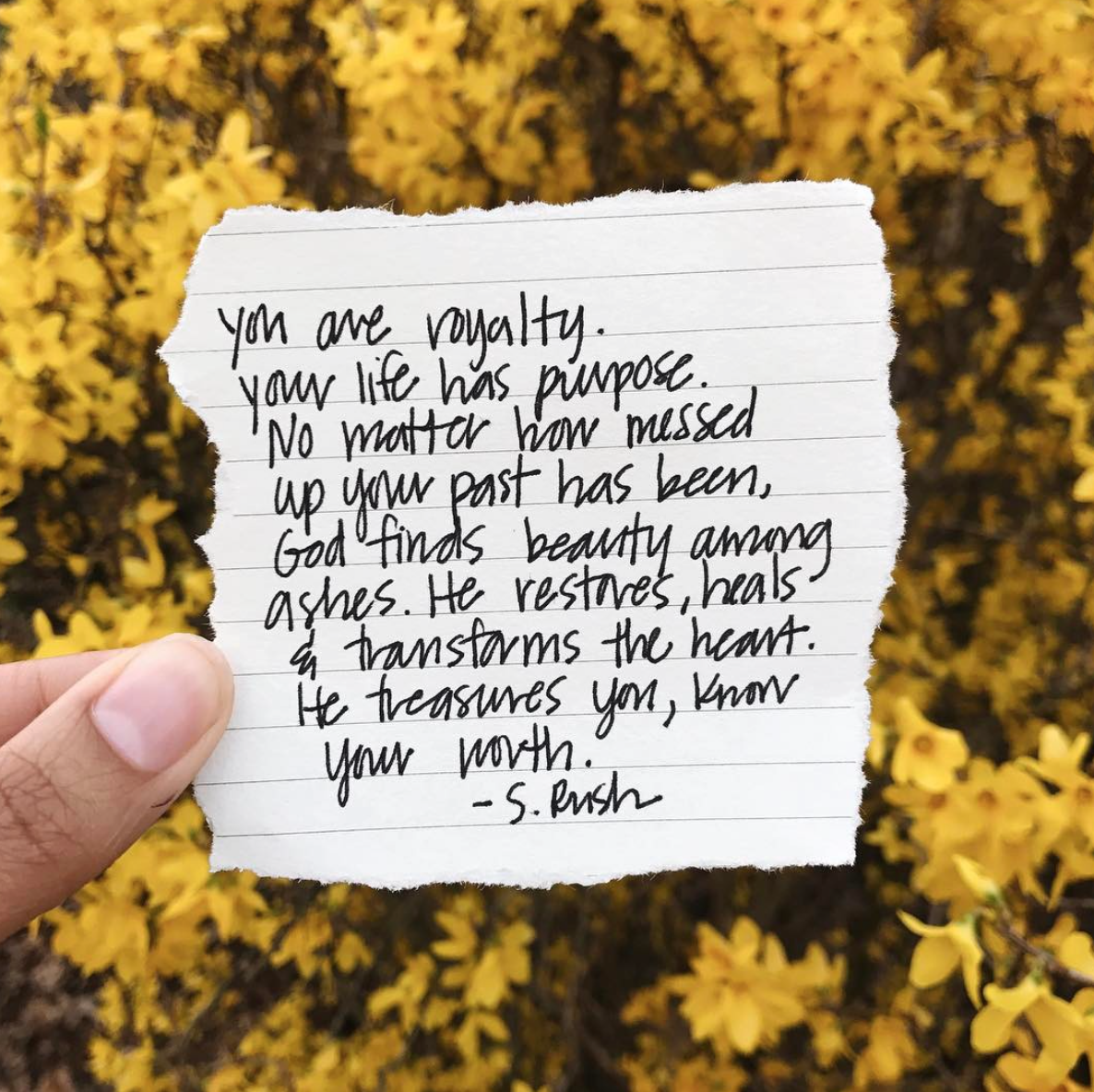 Screen Shot 2018-06-07 at 12.51.38 PM.png