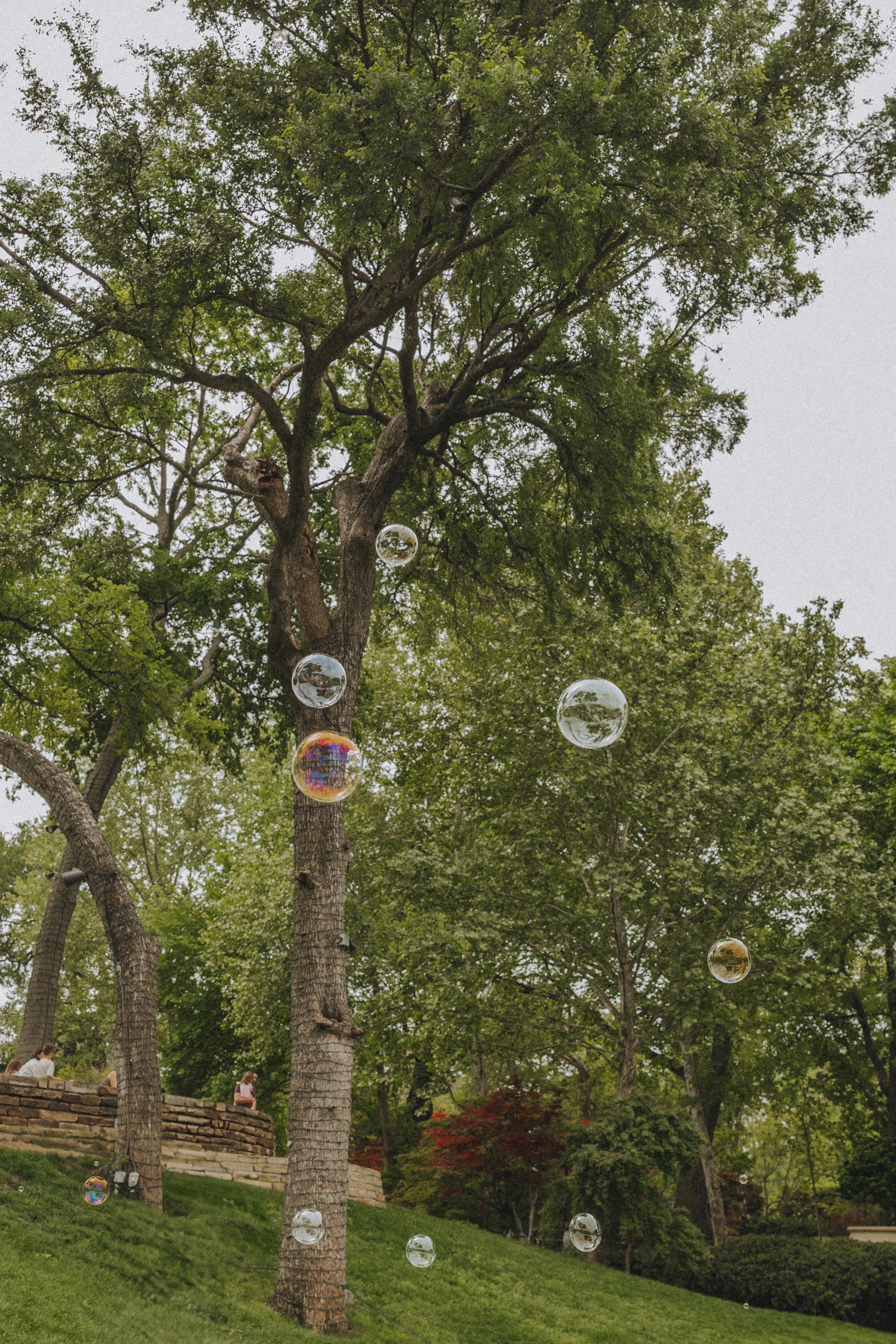 AshlynQuiettPhoto - 04.18TMTSpringPicnic-39.jpg