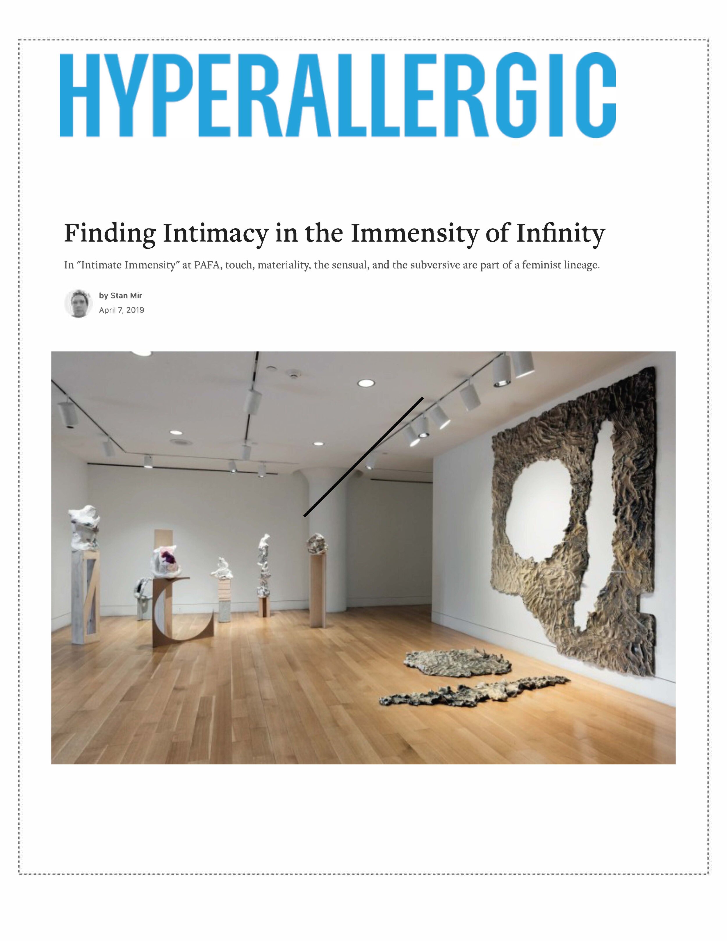 Hyperallergic_Intimate Immensity.jpg