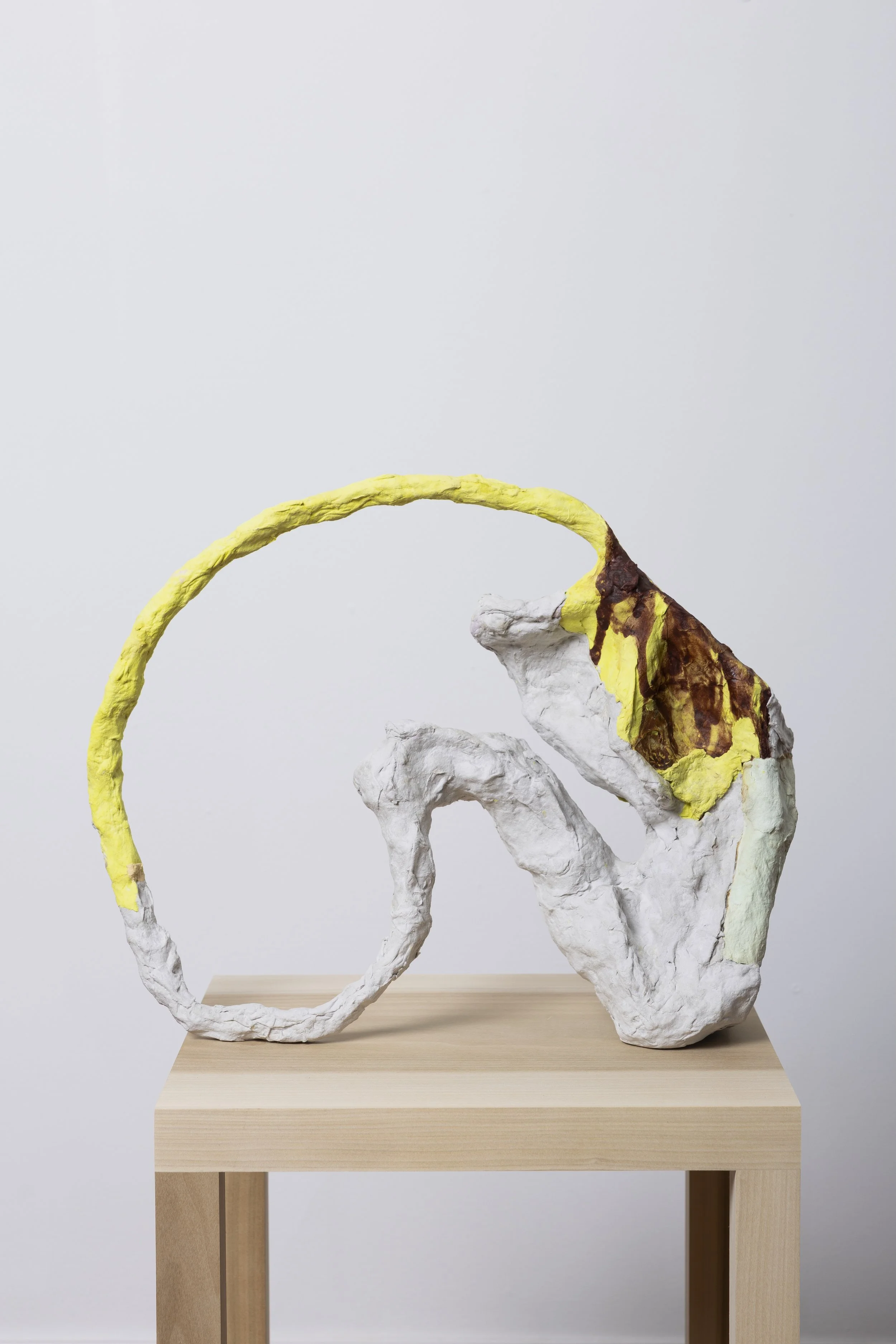 Forest Mirror 15” x 19” x 5” handmade paper, pulp paint, paper mache, wood shelf, 2025