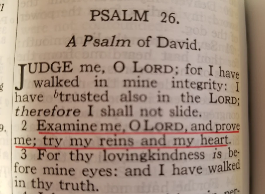 Examine Me!