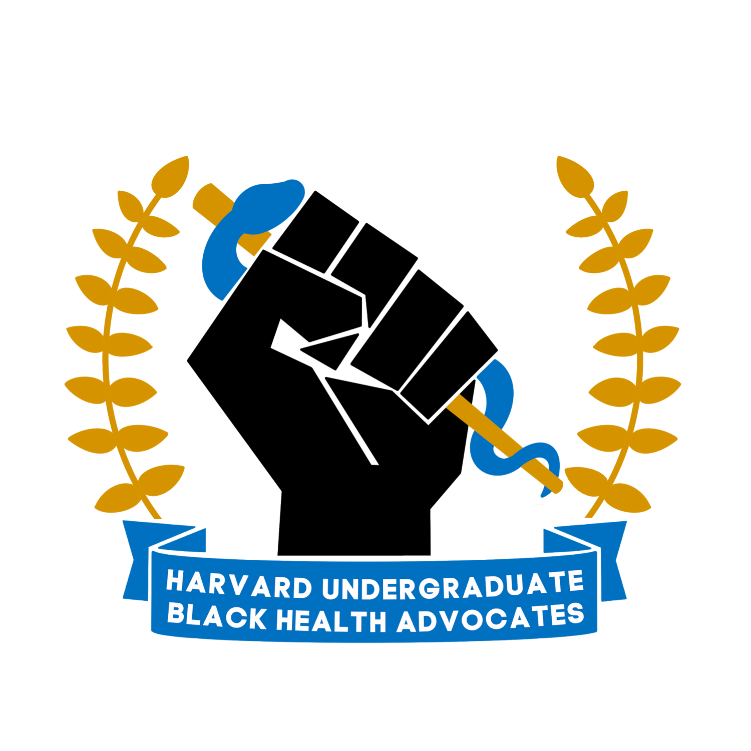 Harvard Black Health Matters