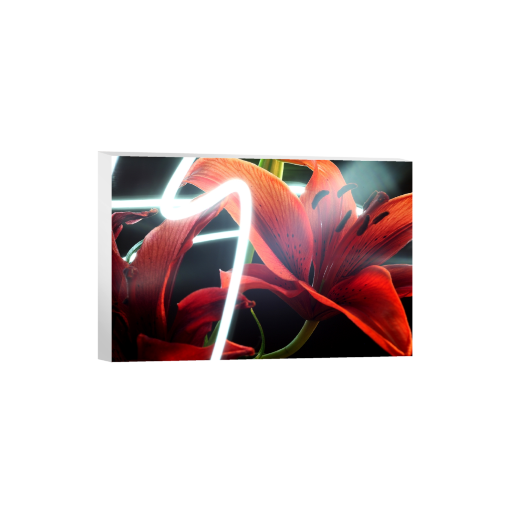 canvas_rectangle2_3_0_0_5616_3744_0_false_ffffff_0_0.png