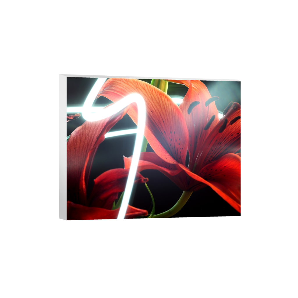 canvas_rectangle4_5_468_0_4680_3744_0_false_ffffff_0_0.png