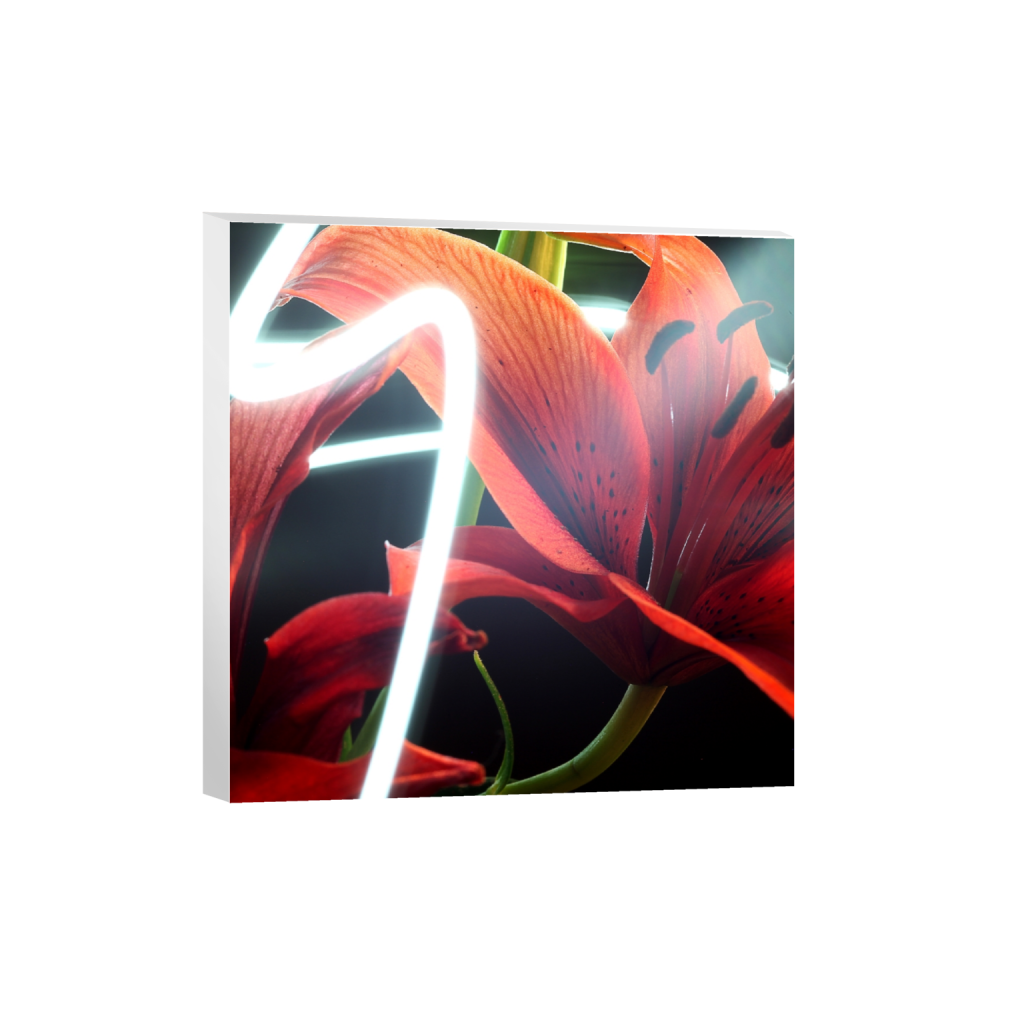 canvas_square_936_0_3744_3744_0_false_ffffff_0_0.png