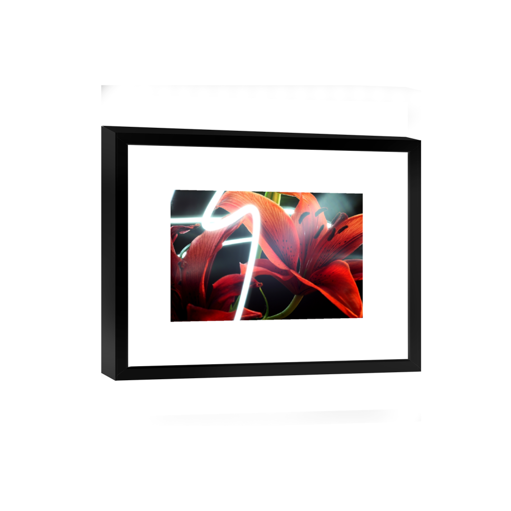 smartframe_rectangle2_3_0_0_5616_3744_0_false_ffffff_0_0.png