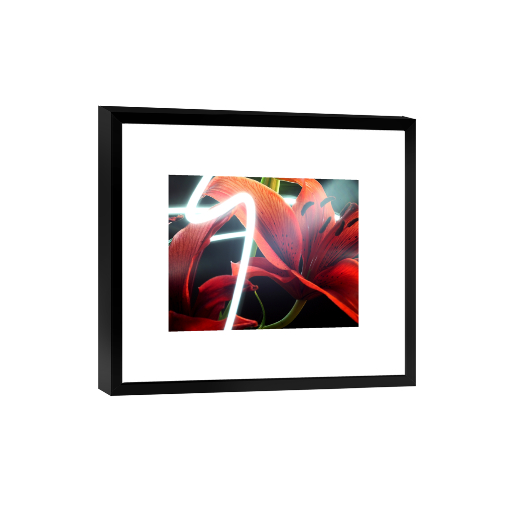 smartframe_rectangle4_5_468_0_4680_3744_0_false_ffffff_0_0.png