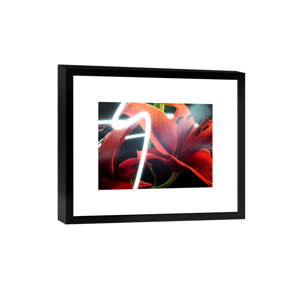 smartframe_rectangle3_4_312_0_4992_3744_0_false_ffffff_0_0.png