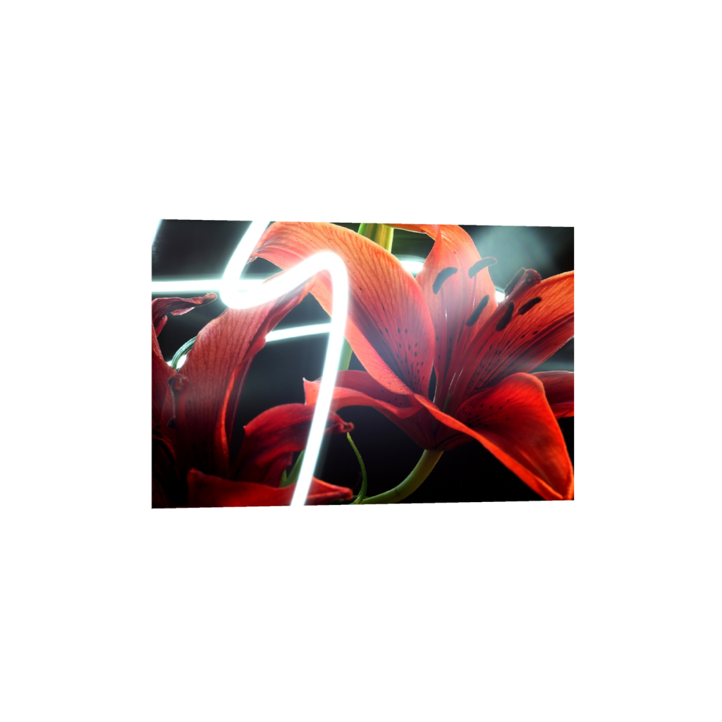 fineartprints_rectangle2_3_0_0_5616_3744_0_false_ffffff_0_0.png