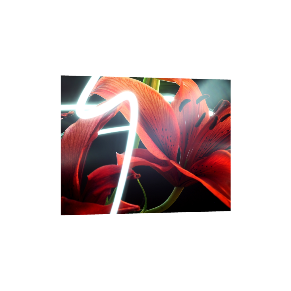 fineartprints_rectangle4_5_468_0_4680_3744_0_false_ffffff_0_0.png