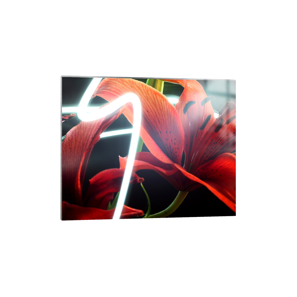 metalprint_rectangle4_5_468_0_4680_3744_0_false_ffffff_0_0.png