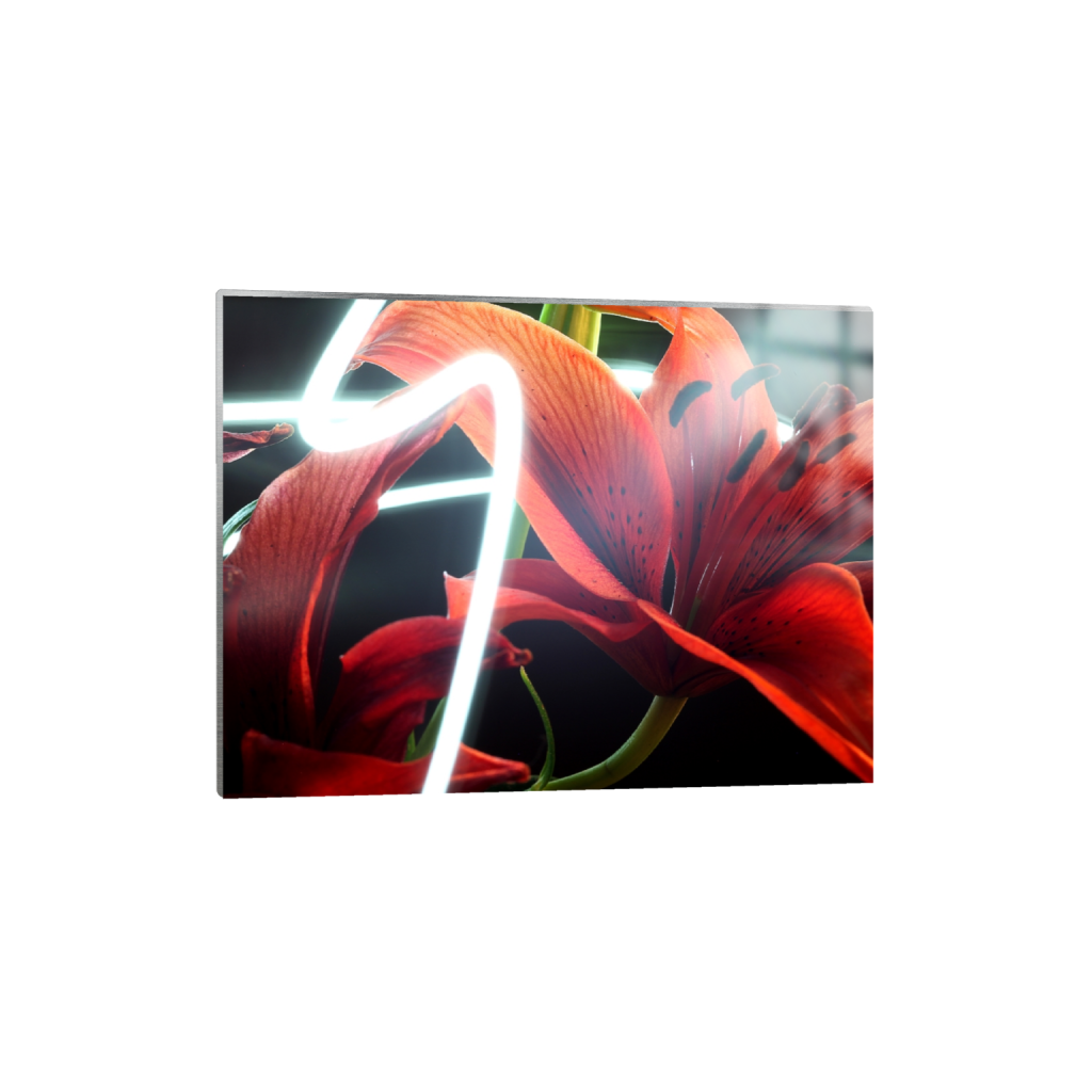 metalprint_rectangle3_4_312_0_4992_3744_0_false_ffffff_0_0.png