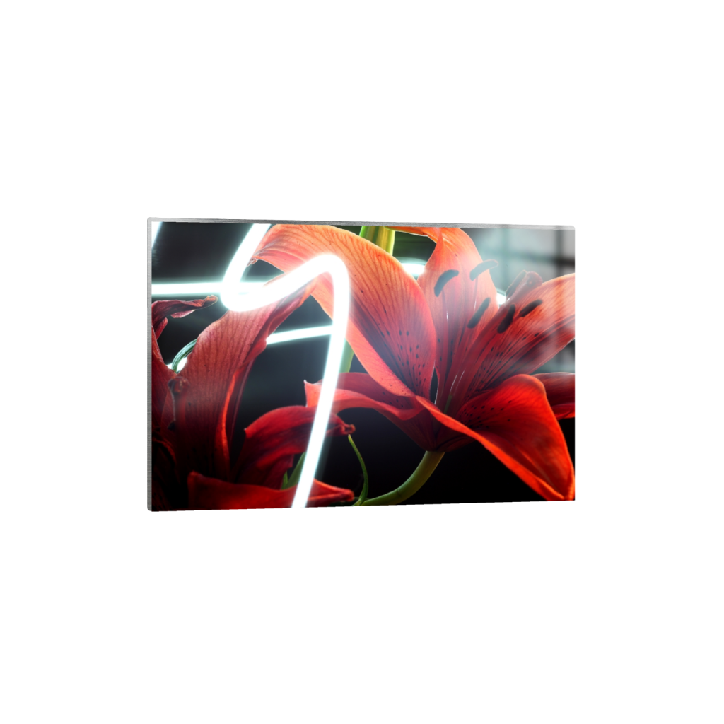 metalprint_rectangle2_3_0_0_5616_3744_0_false_ffffff_0_0.png