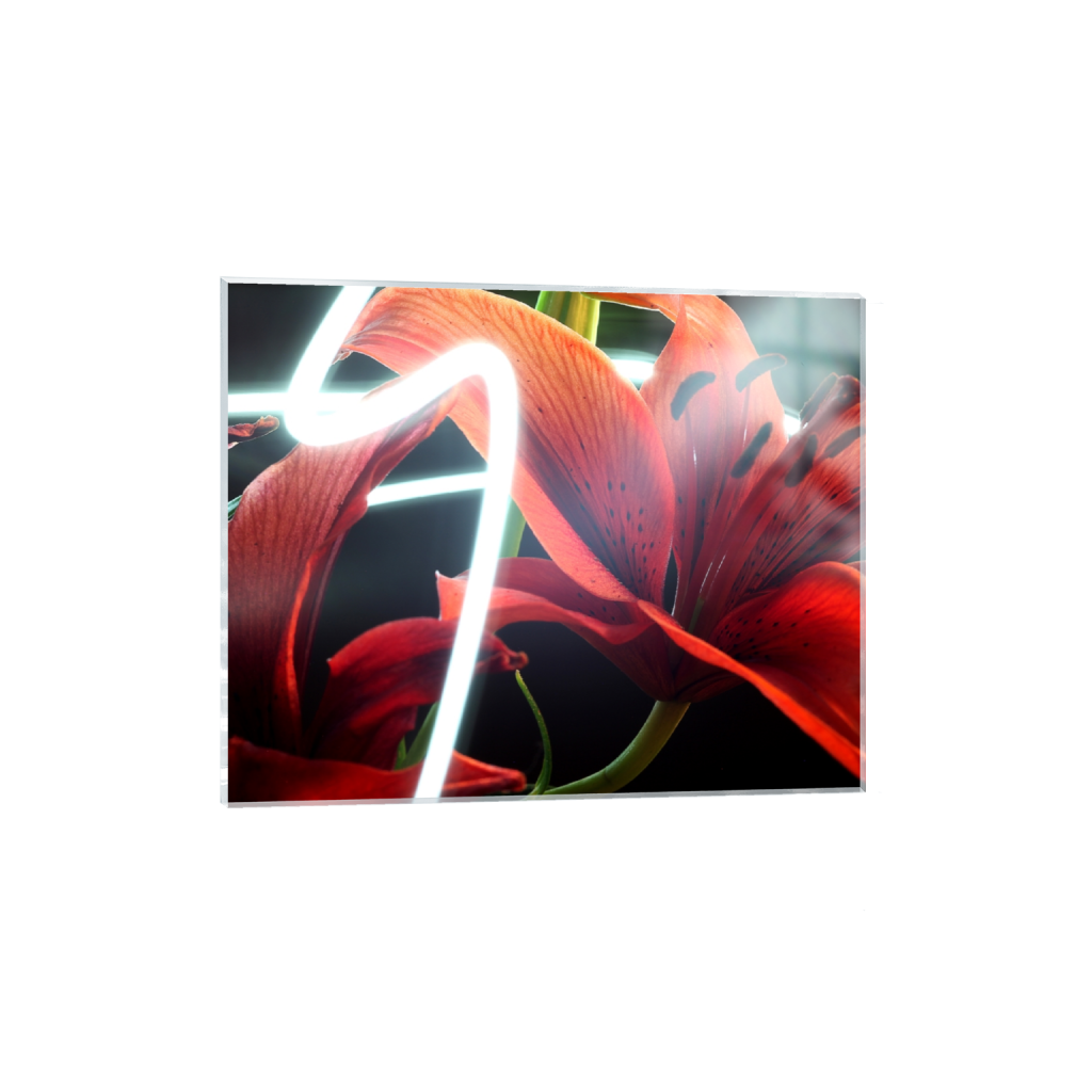 acrylicprint_rectangle4_5_468_0_4680_3744_0_false_ffffff_0_0.png