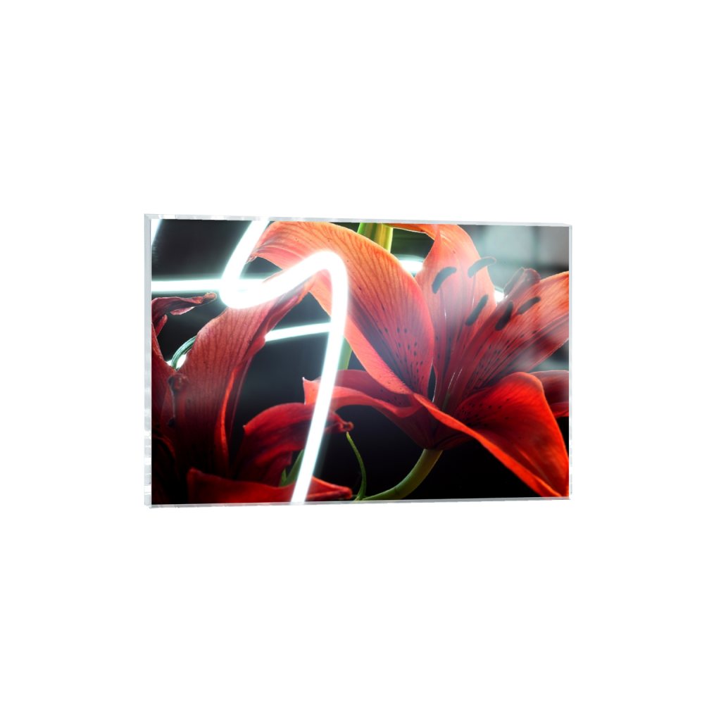 acrylicprint_rectangle2_3_0_0_5616_3744_0_false_ffffff_0_0.png