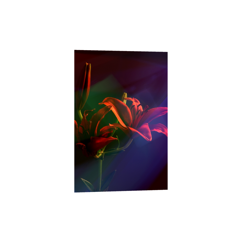 fineartprints_rectangle2_3_446_0_2852_4278_0_false_ffffff_0_0.png