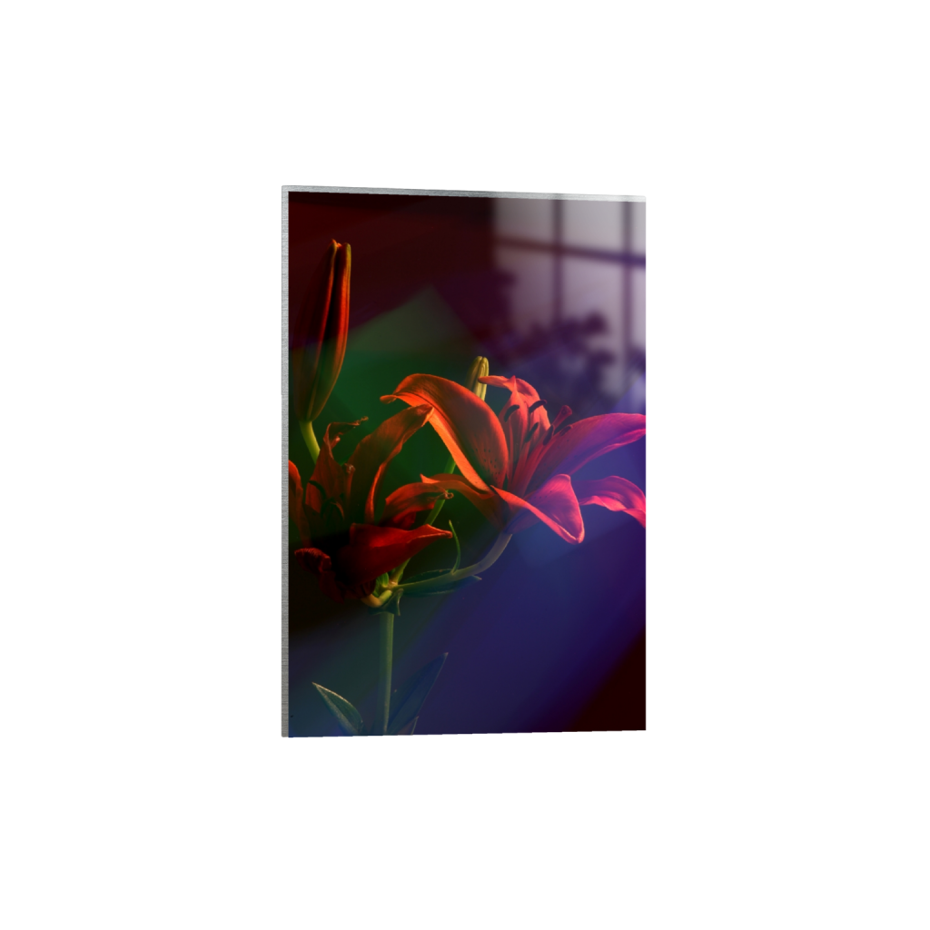 metalprint_rectangle2_3_446_0_2852_4278_0_false_ffffff_0_0.png